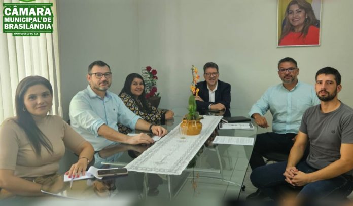 2 - EMENDAS PARLAMENTARES